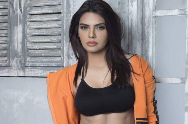 Sherlyn Chopra reveals talent agency founder asked if her breasts were real, wanted to touch them